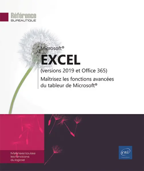 excel versions 2019 et office 365 maitrisez les fonctions avancees du tableur de microsoft 9782409016950 XL