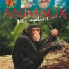 animaux malins 1024x1024@2x