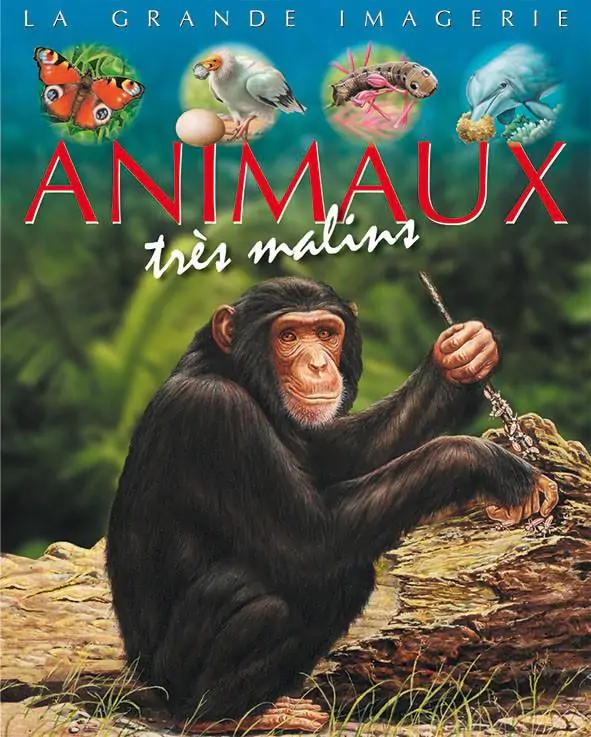 animaux malins 1024x1024@2x