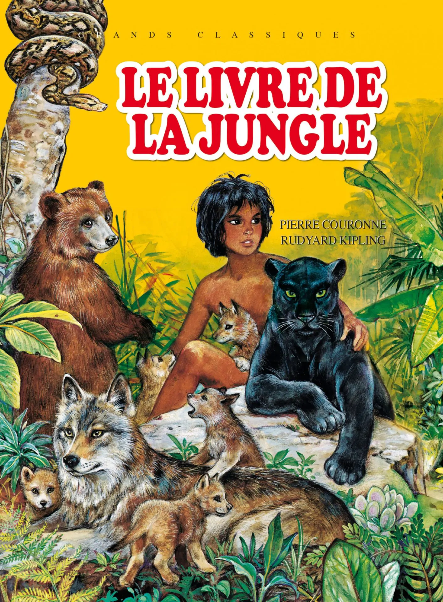 le livre de la jungle scaled 1