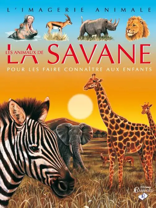 les animaux de la savane 1024x1024@2x