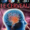 vign Cerveau COUV