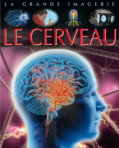 vign Cerveau COUV