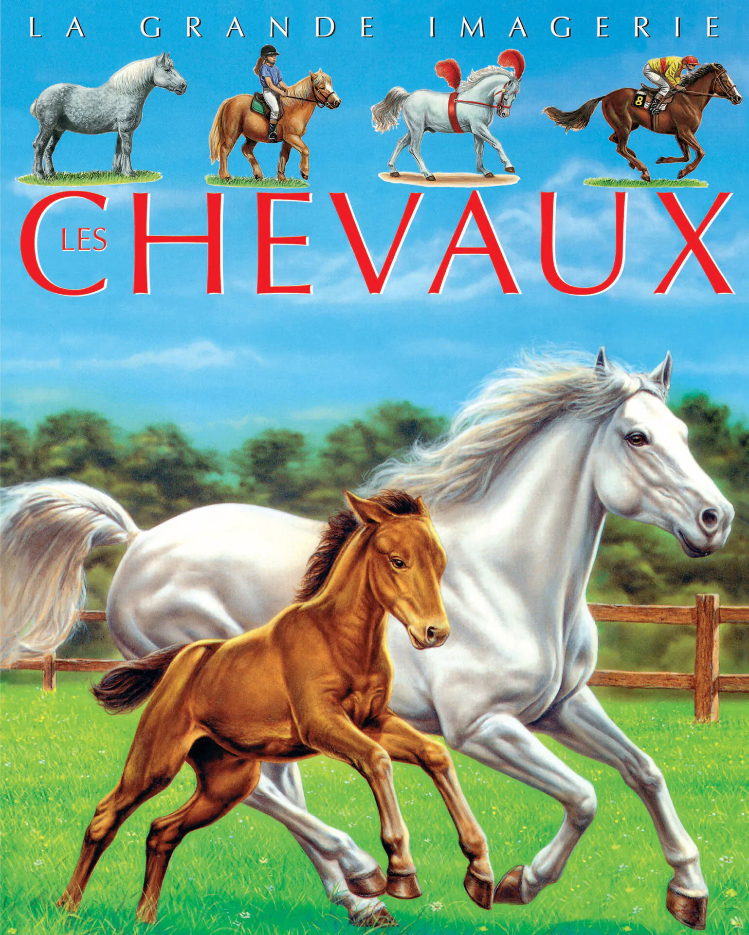 vign couv chevaux