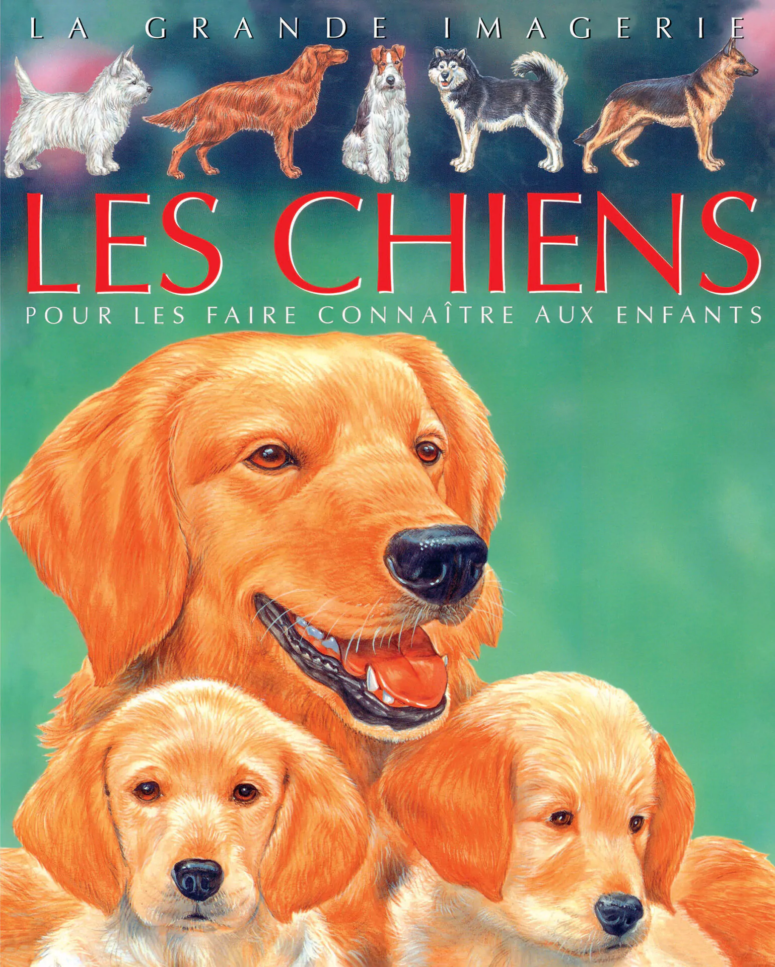 vign couv chiens