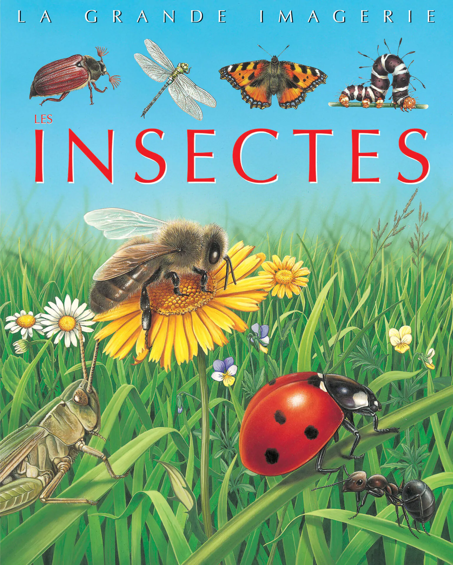 vign couv les insectes