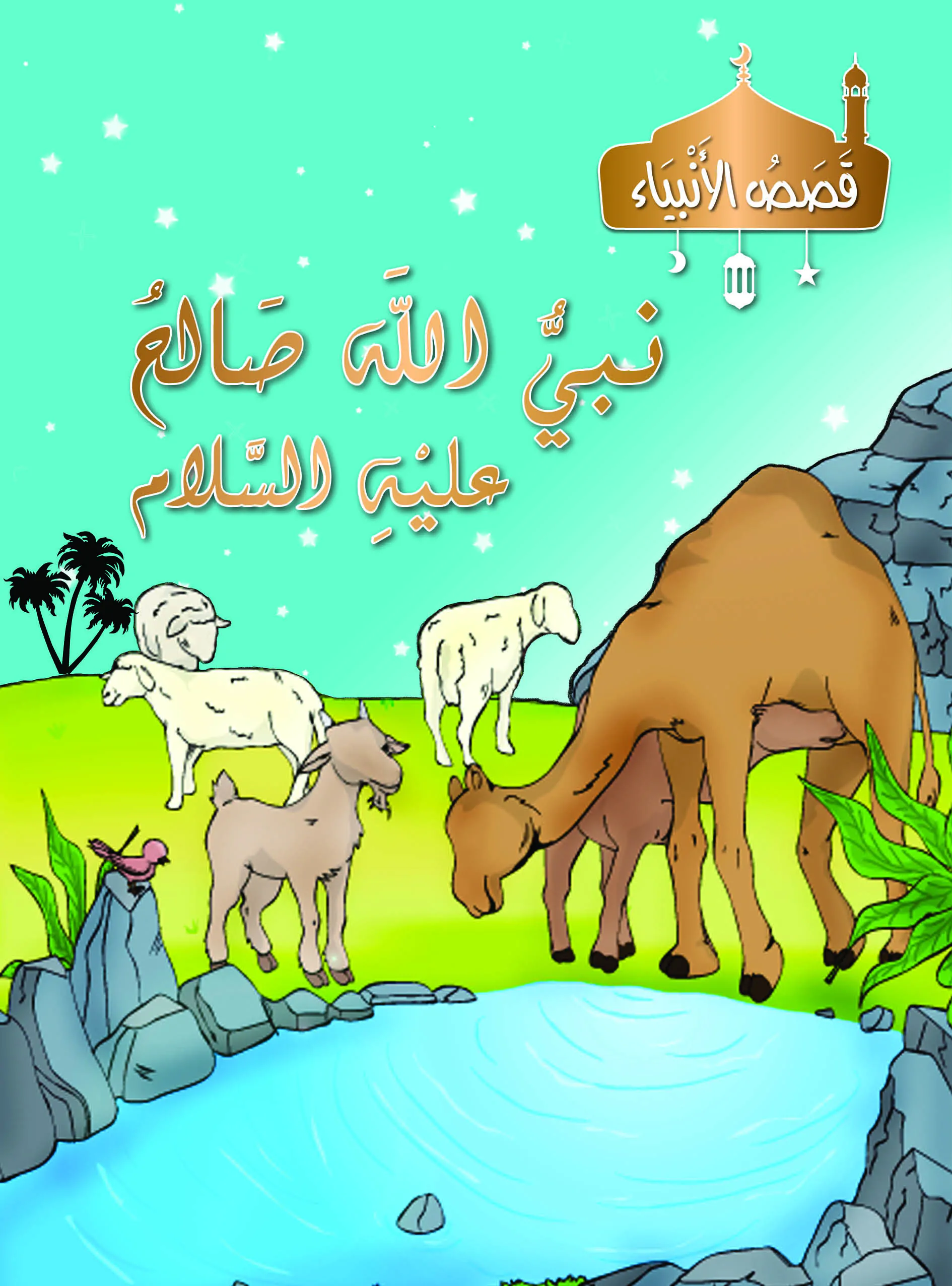 5 Salih COVER