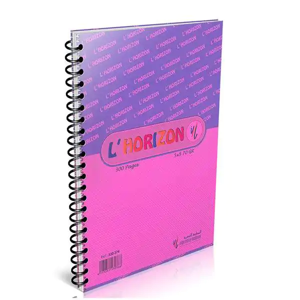 CAHIER SPIRAL 300 PAGE 5x5