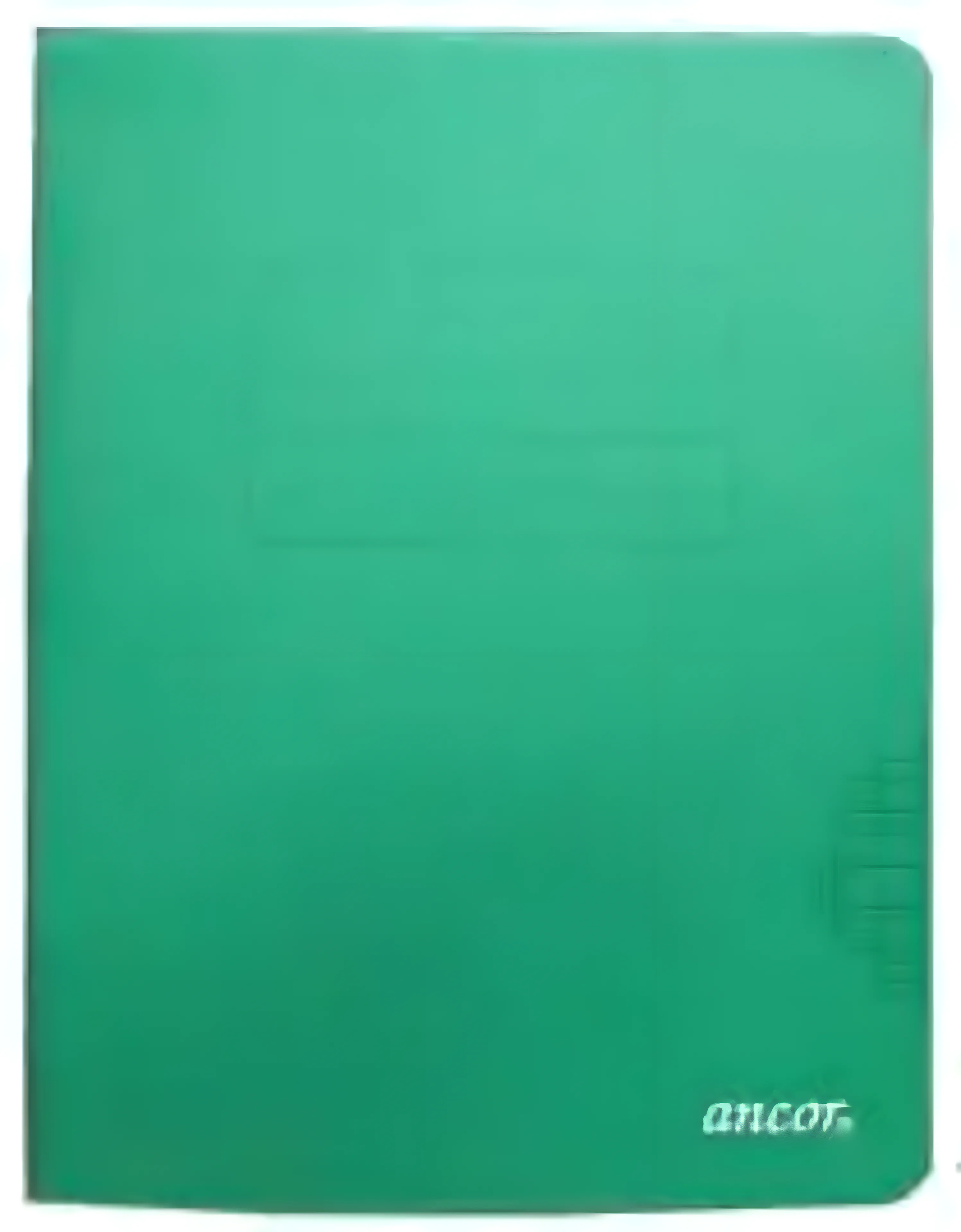 Cahier Simple Ancor - 21x29.7 - 192p - Séyès - 90g