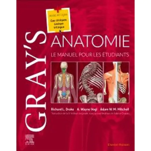 ANATOMIE
